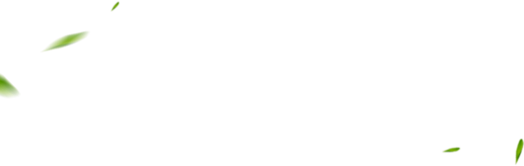 হ্যাংজহু টিয়ানসি ফুড কোং, লিমিটেড