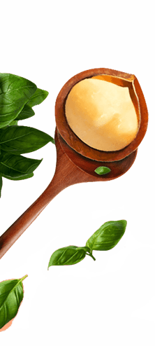 হ্যাংজহু টিয়ানসি ফুড কোং, লিমিটেড